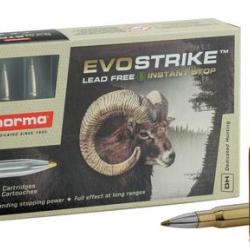 CARTOUCHE NORMA 30-06 EVOSTRIKE 139 GRAINS