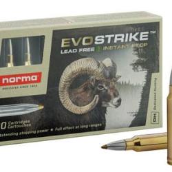 CARTOUCHES NORMA .300 WIN MAG EVOSTRIKE 9,0G/139GR