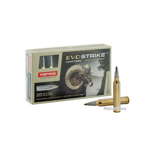 CARTOUCHES NORMA .300 WIN MAG EVOSTRIKE 9,0G/139GR