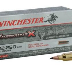 CARTOUCHES WINCHESTER 22-250Rem 55G PSP BT20/200