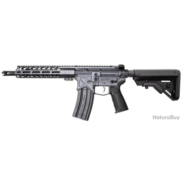 AUTHORITY-014 BATTLE ARMRS AR 15 10.5 223 CAL