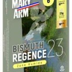 MARY ARM BISMUTH REGENCE 20/67 N&deg;6