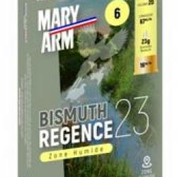 MARY ARM BISMUTH REGENCE 20/67 N&deg;8