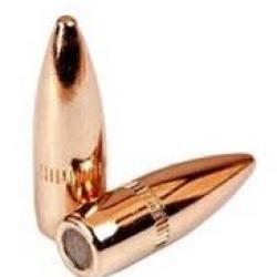 PPU PARTIZAN BALLES CAL.22 55GRS FMJ BT X 100