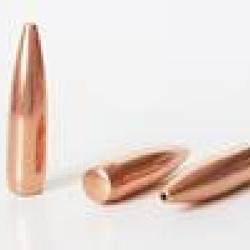 PPU PARTIZAN BALLES CAL.22 69GRS X 100