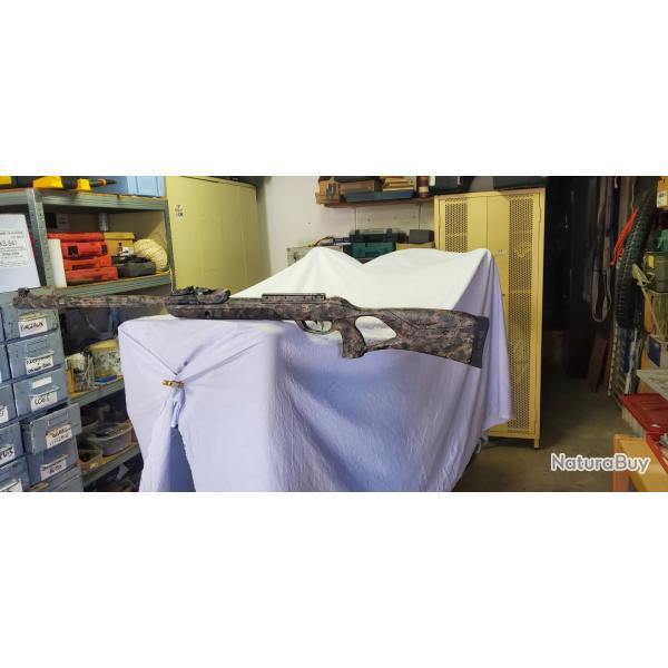 Carabine � air GAMO ROADSTER IGT 10