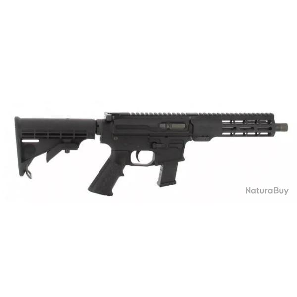 CARABINE WINDHAM WEAPONRY WW-9 9x19