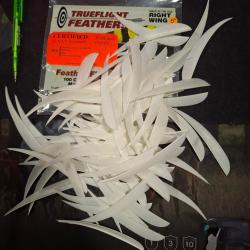 Plumes Paraboliques unies 5" d'occasion par 12 - Blanc