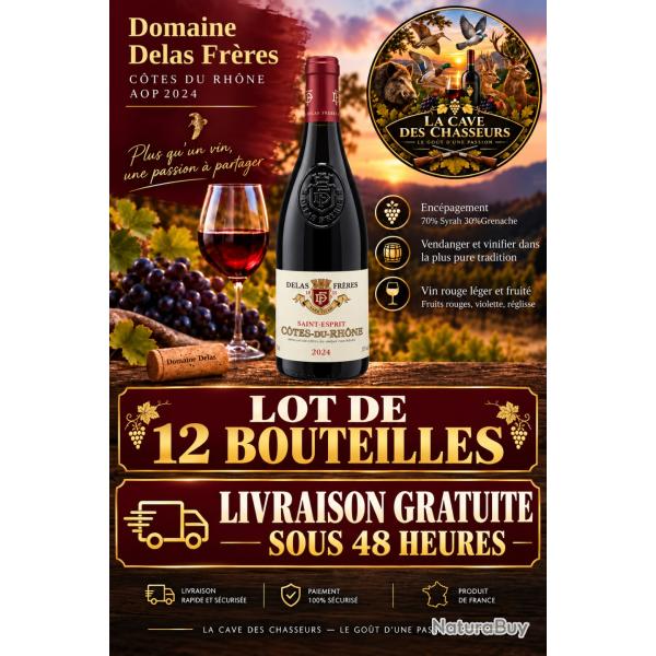 Domaine Delas fr�res "saint esprit" aop c�tes du Rh�ne rouge 2024 75cl lot de 12 bouteilles