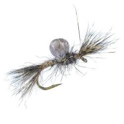 Sub-Sedge Spent Mouchet&eacute; SBN Alan Campbell H14
