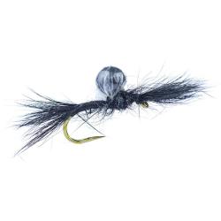 Sub-Sedge Spent Noir SBN Alan Campbell H14