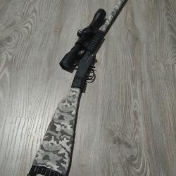 Chiappa little badger lr22