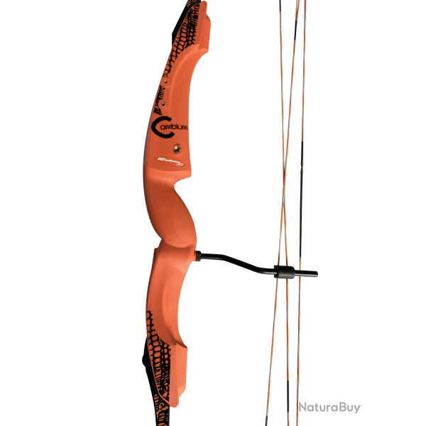 Arc Cambium - Rolan - Gaucher / Orange