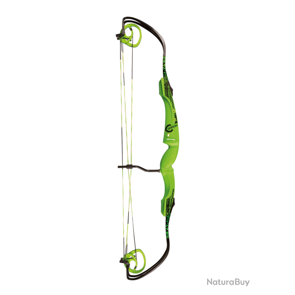 Arc Cambium - Rolan - Gaucher / Vert