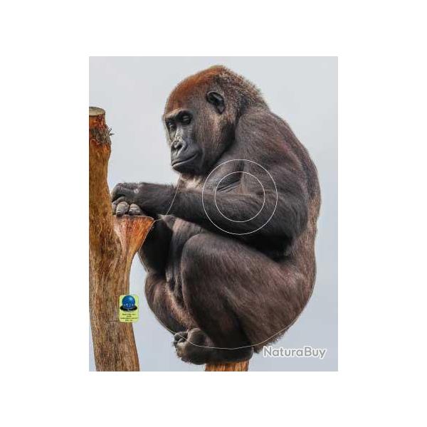 Blason Moyen Gibier Singes - AI2M - MG 561 Gorille
