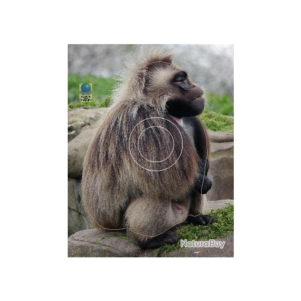 Blason Moyen Gibier Singes - AI2M - MG 653 G�lada