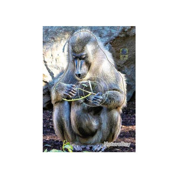 Blason Moyen Gibier Singes - AI2M - MG 654 Mandrill