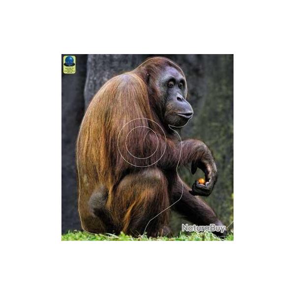 Blason Moyen Gibier Singes - AI2M - MG 375 Orang Outan