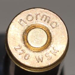 270 WSM   (Winchester Short Magnum)  4 cartouches