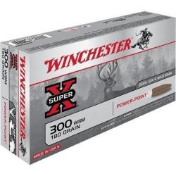 Munitions 300 WSM Winchester Power Point