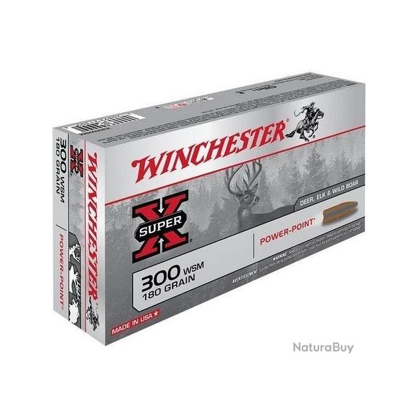 Munitions 300 WSM Winchester Power Point