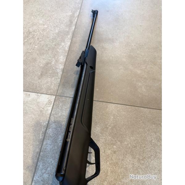 Carabine a plomb
