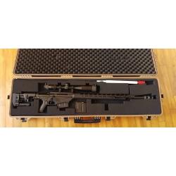 Carabine ruger precision 300 win mag