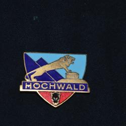 INSIGNE OUVRAGE DU HOCHWALD-UNITES DE FORTERESSE-LIGNE MAGINOT-CAMPAGNE DE  FRANCE 1940-2&deg;WW