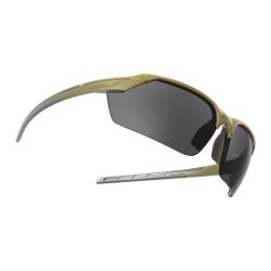 Lunettes TrinRay Basic - Adaptive Green/Smoked