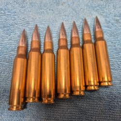 lot de 7 munitions 308 Win neutralis&eacute;