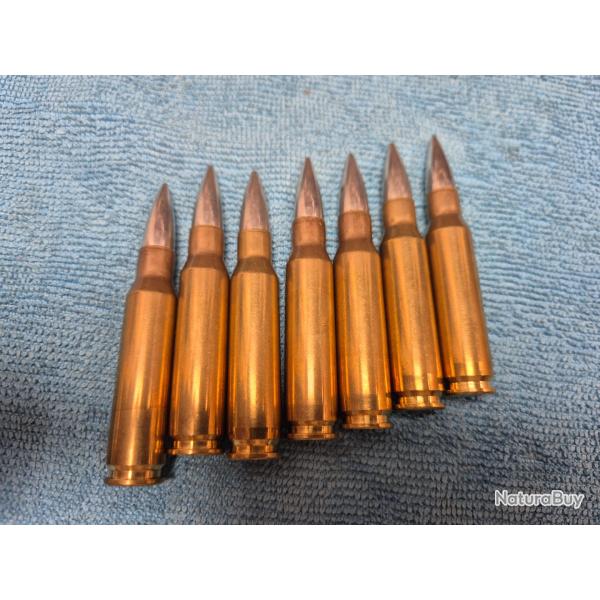 lot de 7 munitions 308 Win neutralis�