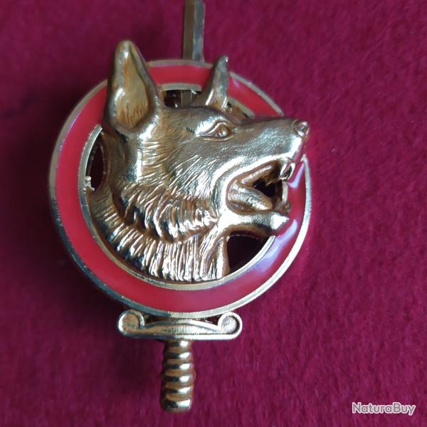 brevet militaire maitre chien