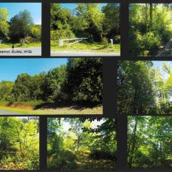 6,9033 ha - FOR&Ecirc;T DU BOSQUET DE LA TUILERIE - ( 60 ) OISE