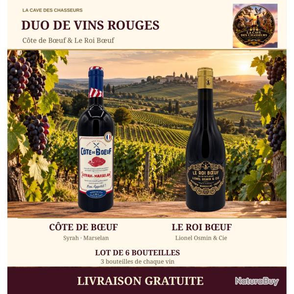 LOT 6 BOUTEILLES 3 BTLE ROI BOEUF 2023 ET 3 BTLE CUVEE "COTE DE BOEUF" 2025