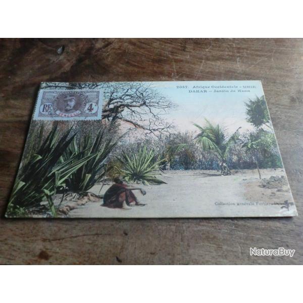 cp s�n�gal jardin de hann
