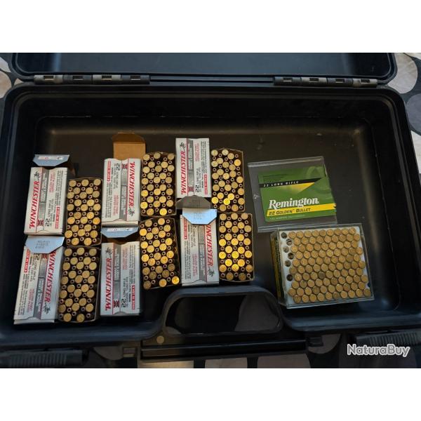 Lots de munitions 22 LR WINCHESTER et REMINGTON