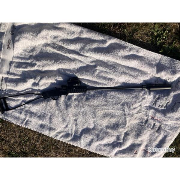 carabine Chiappa Little Badger .22LR + Point rouge Geco R20 gen2 + silencieux