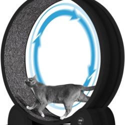 Roue d'exercice pour Chats d'int&eacute;rieur, Design Silencieux, Bois Naturel Extra Large, Piste Tapis de