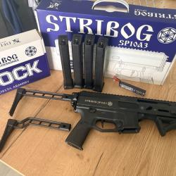Stribog SP10A3 Delta Armory + 4 Chargeurs + Crosse Sup + Batterie LiPo - COMME NEUF