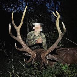 Chasse au cerf dans les Pyr&eacute;n&eacute;es - saison 2027-2028