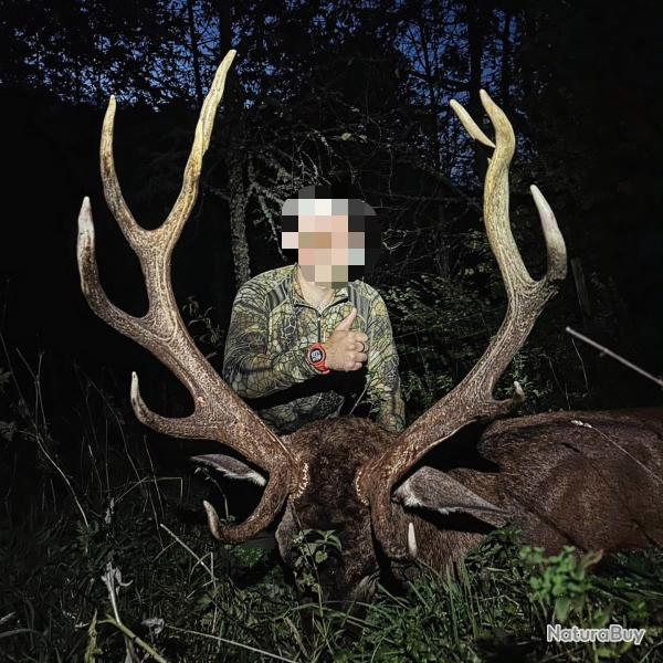 Chasse au cerf dans les Pyr�n�es - saison 2027-2028