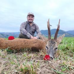 Chasse au brocard dans le sud ouest - saison 2027-2028