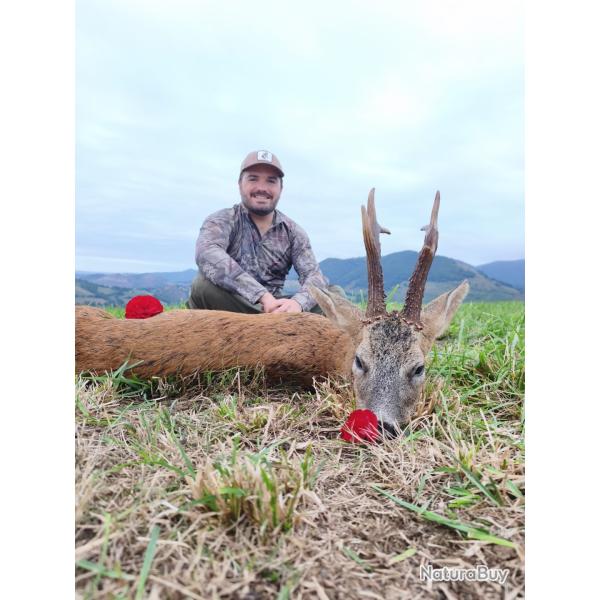 Chasse au brocard dans le sud ouest - saison 2027-2028