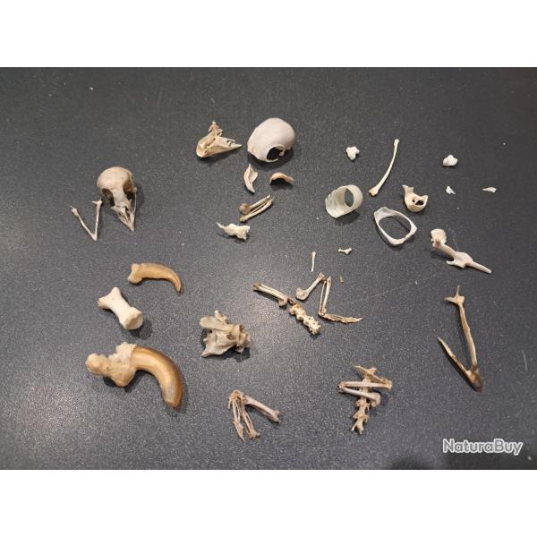 Lot de curiosit�s diverses #L3K60