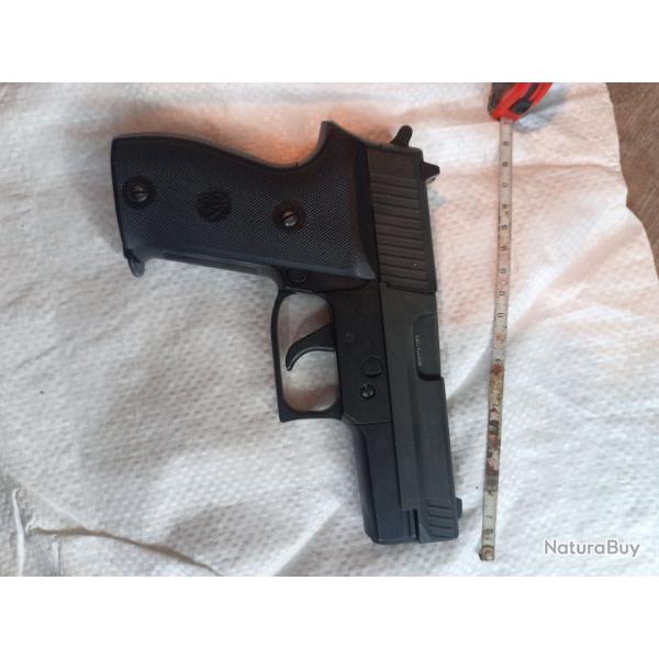 Pistolet rws 225
