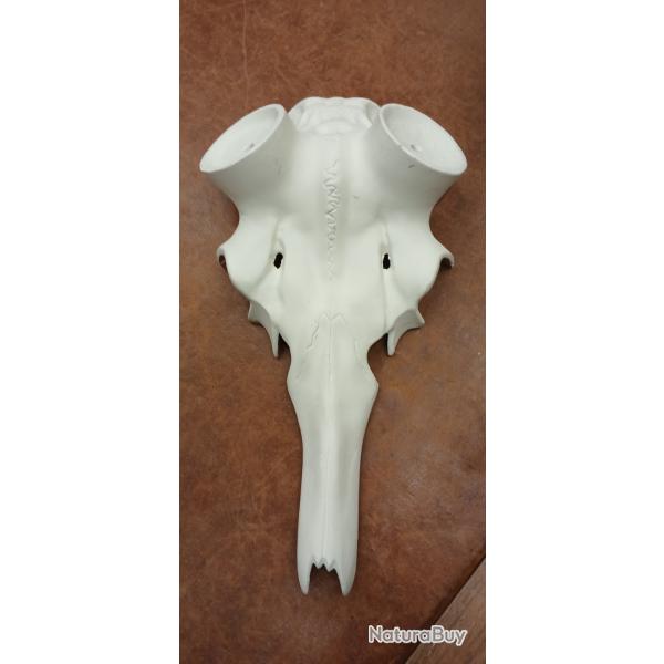 Cr�ne articiel aluminium de cerf �laphe meule 65mm