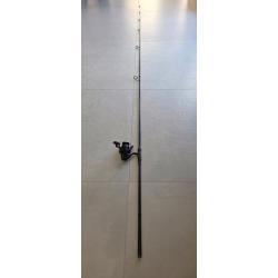 Cane &agrave; p&ecirc;che carpe