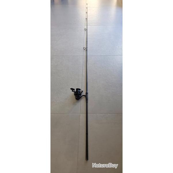 Cane � p�che carpe