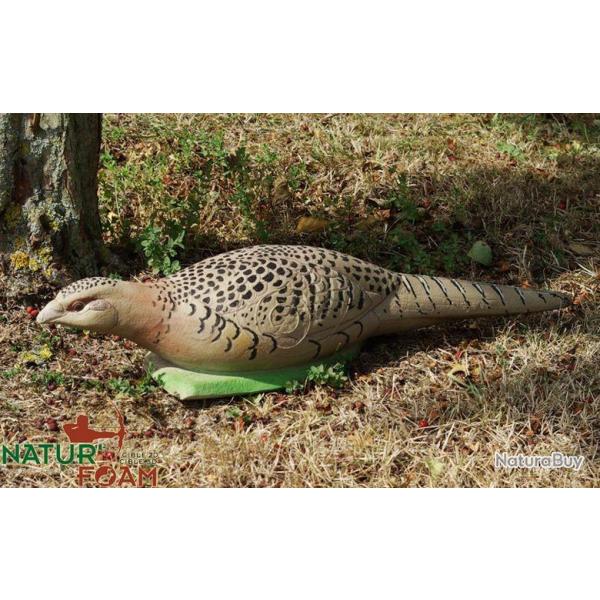 NATURFOAM - POULE FAISANE