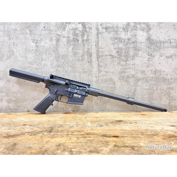 AR15 � customiser German Tactical Systems - Cal. 223 Rem - Canon 14.5"